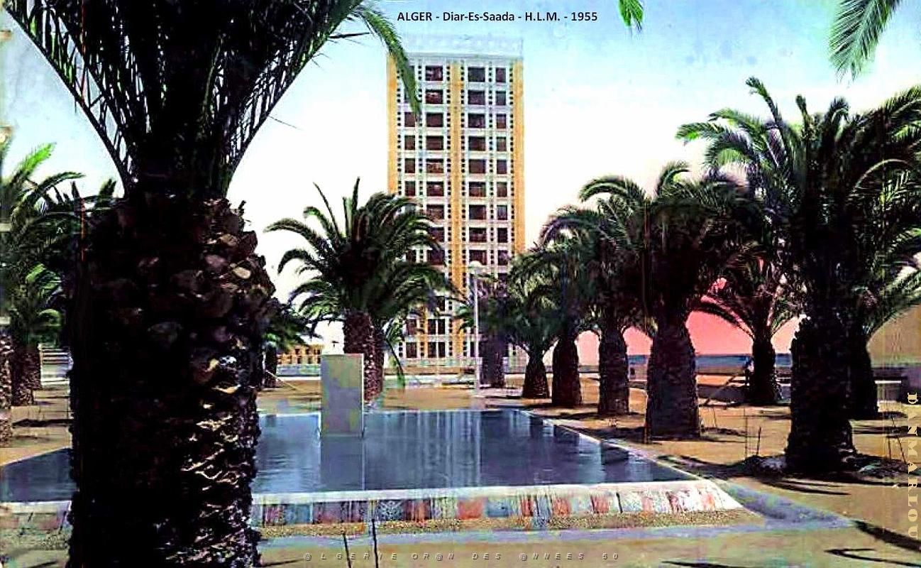Alger - Diar-Es-Saada -H.L.M - 1956. .jpg
